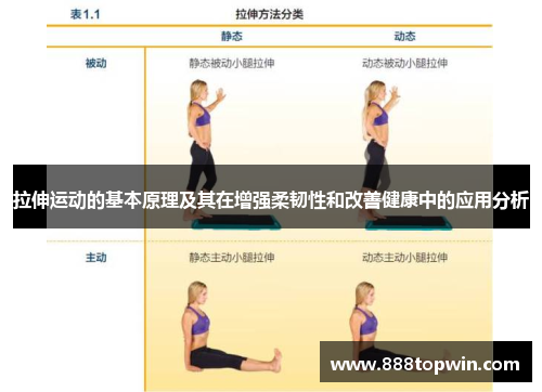 拉伸运动的基本原理及其在增强柔韧性和改善健康中的应用分析