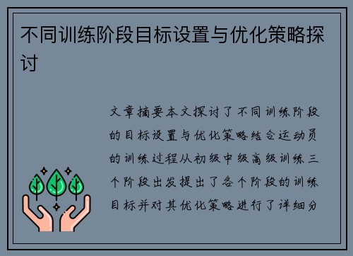 不同训练阶段目标设置与优化策略探讨